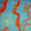 Red Coral