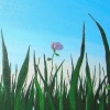 Panoramic Grass