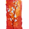 Cherry Blossoms
