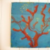 Red Coral