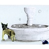 Fountain of Youth