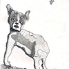 Franken-Dog