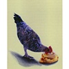 Cannibal