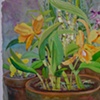 Yellow Orchids