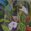 Win's Orchids