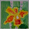 Small Yellow Orchid