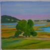 Essex View
