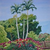 Palms Above Bougainvillea