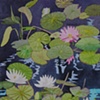 Waterlilies