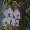 Tree Orchids