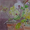 Orchid House