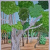 Fig Trees