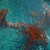 The Immersion (2)