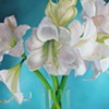 Three Amaryllis Stems