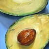 vertical avacado