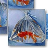 Fish on a Field Day