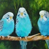 Birds of a Feather