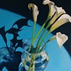 Lillies in Limelight
