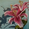 Lilly with Shadow