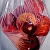 Bag of Apples