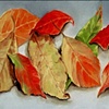 Autumn Leaves