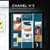 Pandora Magazine and Web Advertisement |2009