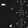 How To Pace Line | Information Design | 2008