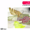 Tia Factor "A Subjective Landscape" October 2007