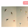 Erin Tappe 09