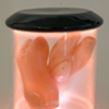 Pigs Feet Jar