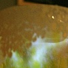 Pint Glass