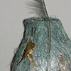 Nest