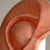 Ear (original)