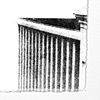 Untitled (DETAIL)