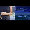 Untitled: Hollywood Hills Forest Lawn | Video Still |