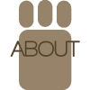 ABOUT