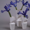 Skin Series Bud Vases