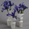 Skin Series Bud Vases