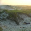 Campsite, Fire Island, New York.