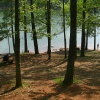 Red Top Mountain State Park, Georgia.