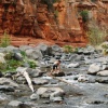 Slide Rock State Park, Arizona.