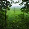 Green Fields, Rochester, New York.