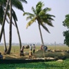 Transporting Rice, Kerala, India.