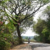 Country Road, Kerala, India.