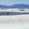 White Sands, New Mexico.