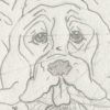 Lumpy Sketch