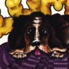 Lumpy Dog