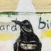 "The Awkward Bird"