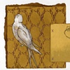 Bird and Cord