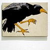 Crow